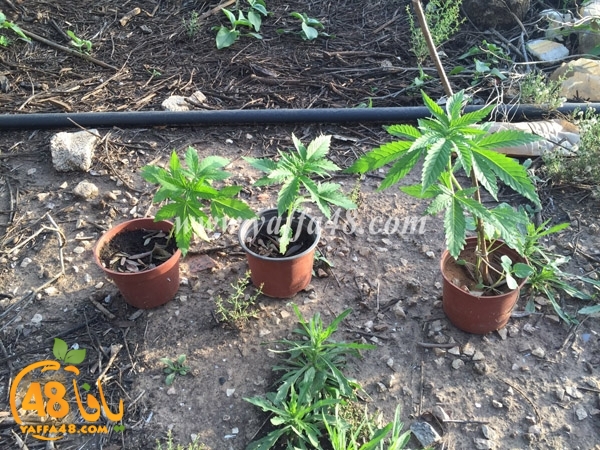 tasoo adrarr3 (6).JPG